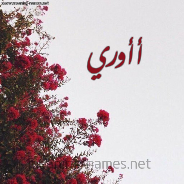 شكل 18 صوره الورد الأحمر للإسم بخط رقعة صورة اسم أأوري Ori