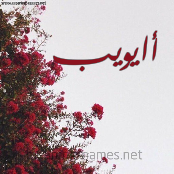 شكل 18 صوره الورد الأحمر للإسم بخط رقعة صورة اسم أايويب Ayub