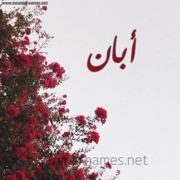 شكل 18 صوره الورد الأحمر للإسم بخط رقعة صورة اسم أبان Aban