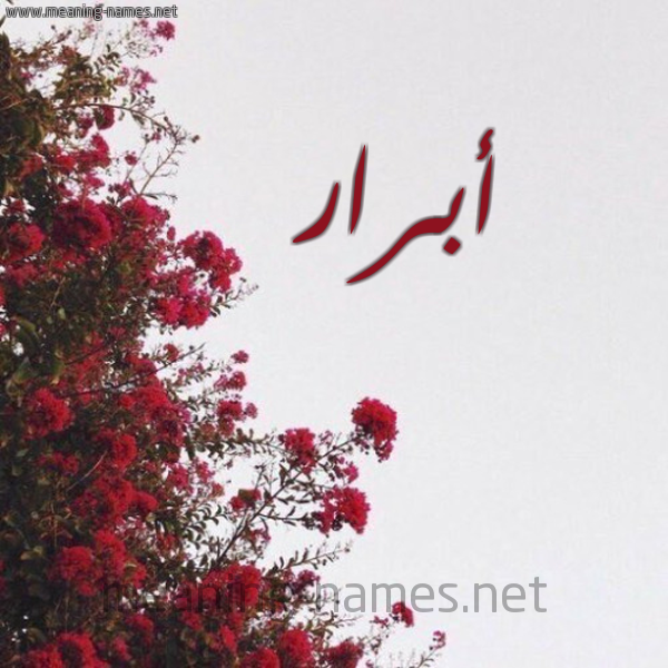 شكل 18 صوره الورد الأحمر للإسم بخط رقعة صورة اسم أبرار ABRAR