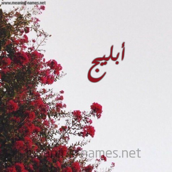 شكل 18 صوره الورد الأحمر للإسم بخط رقعة صورة اسم أبليج Ablaj