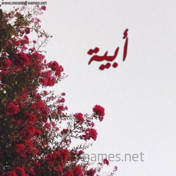 شكل 18 صوره الورد الأحمر للإسم بخط رقعة صورة اسم أبية ABIH