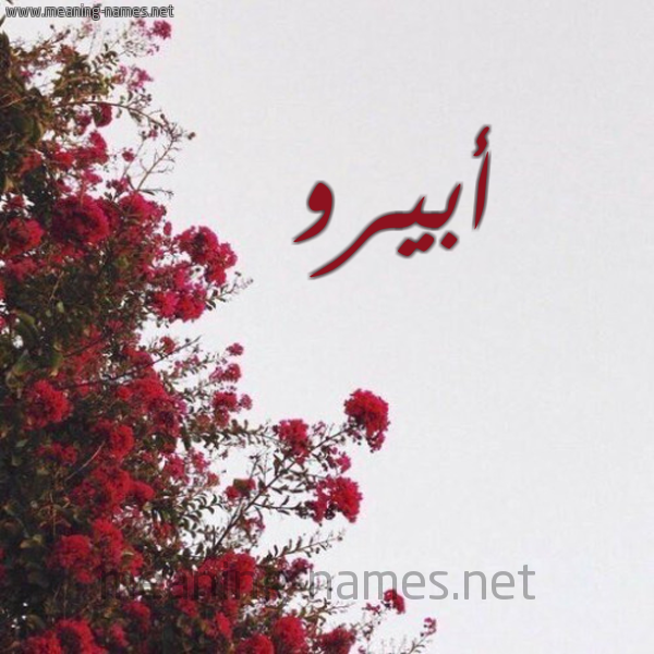 شكل 18 صوره الورد الأحمر للإسم بخط رقعة صورة اسم أبيرو Ebru