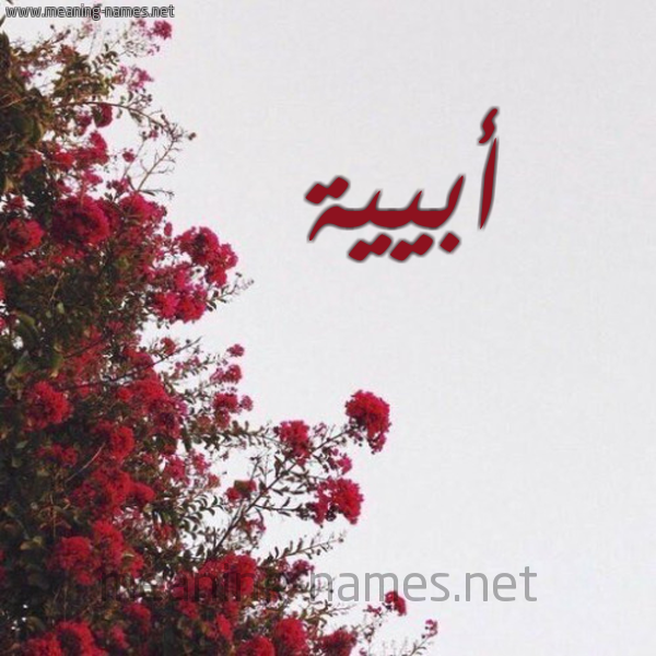 شكل 18 صوره الورد الأحمر للإسم بخط رقعة صورة اسم أبيية Abeya