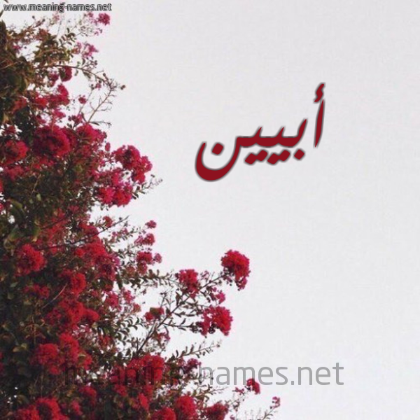 شكل 18 صوره الورد الأحمر للإسم بخط رقعة صورة اسم أبيين abeen