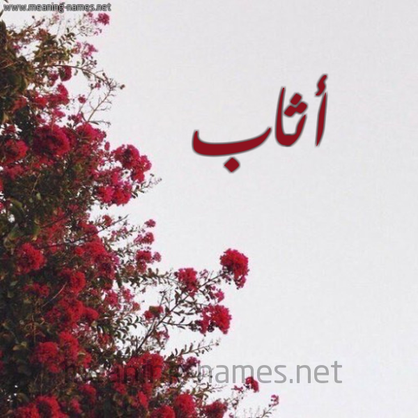 شكل 18 صوره الورد الأحمر للإسم بخط رقعة صورة اسم أثاب Athab