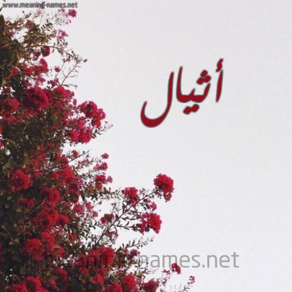 شكل 18 صوره الورد الأحمر للإسم بخط رقعة صورة اسم أثيال Athal