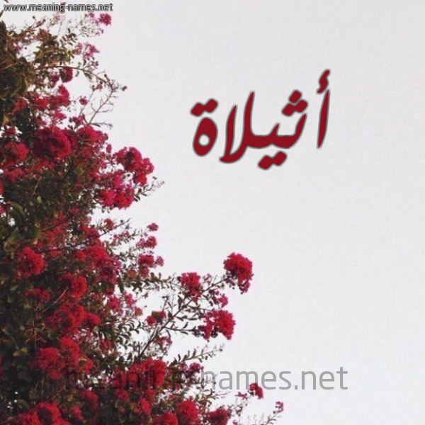 شكل 18 صوره الورد الأحمر للإسم بخط رقعة صورة اسم أثيلاة Atheela
