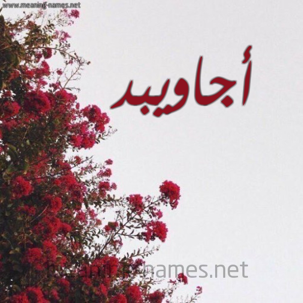 شكل 18 صوره الورد الأحمر للإسم بخط رقعة صورة اسم أجاويبد Ajawid