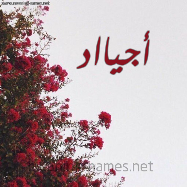 شكل 18 صوره الورد الأحمر للإسم بخط رقعة صورة اسم أجيااد Ajyad