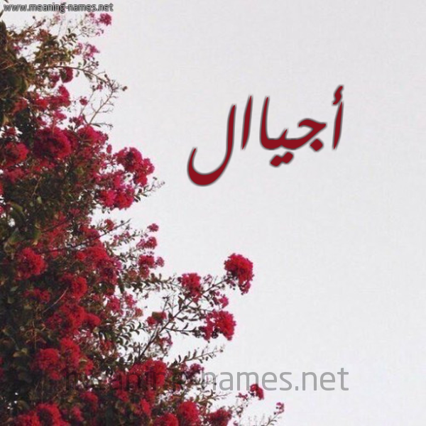 شكل 18 صوره الورد الأحمر للإسم بخط رقعة صورة اسم أجياال Ajiyal