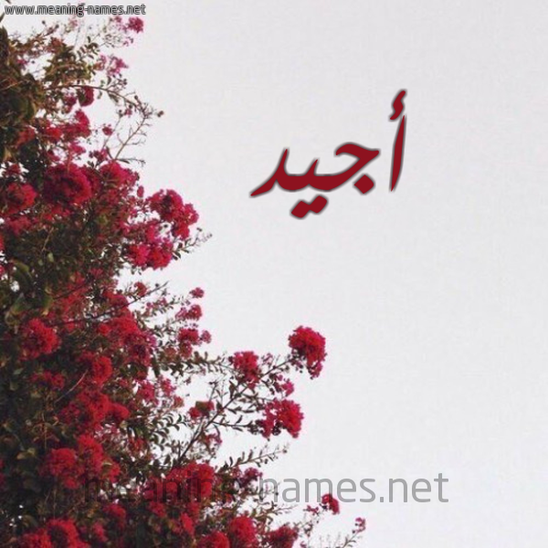 شكل 18 صوره الورد الأحمر للإسم بخط رقعة صورة اسم أجيد AGID