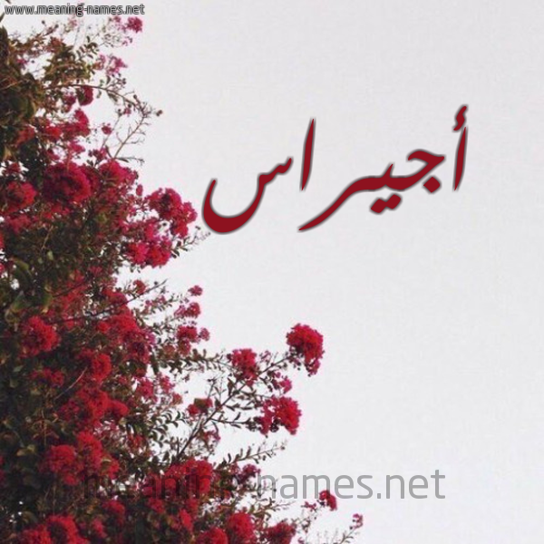 شكل 18 صوره الورد الأحمر للإسم بخط رقعة صورة اسم أجيراس Ajras