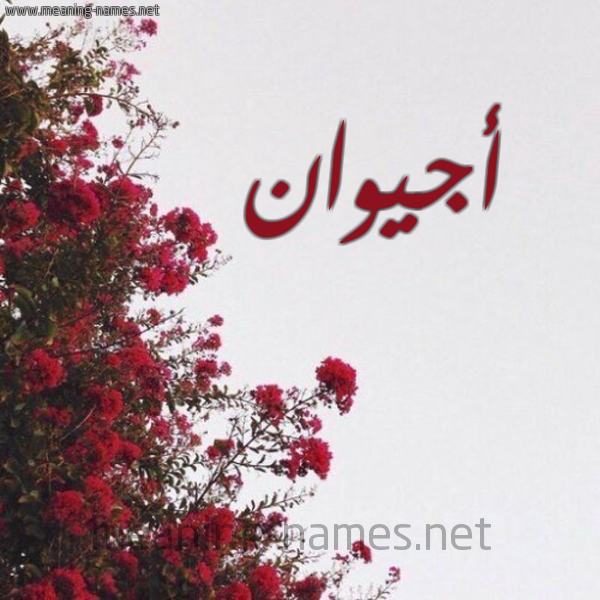 شكل 18 صوره الورد الأحمر للإسم بخط رقعة صورة اسم أجيوان Ajwan