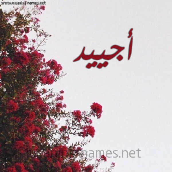 شكل 18 صوره الورد الأحمر للإسم بخط رقعة صورة اسم أجييد Ajiyad