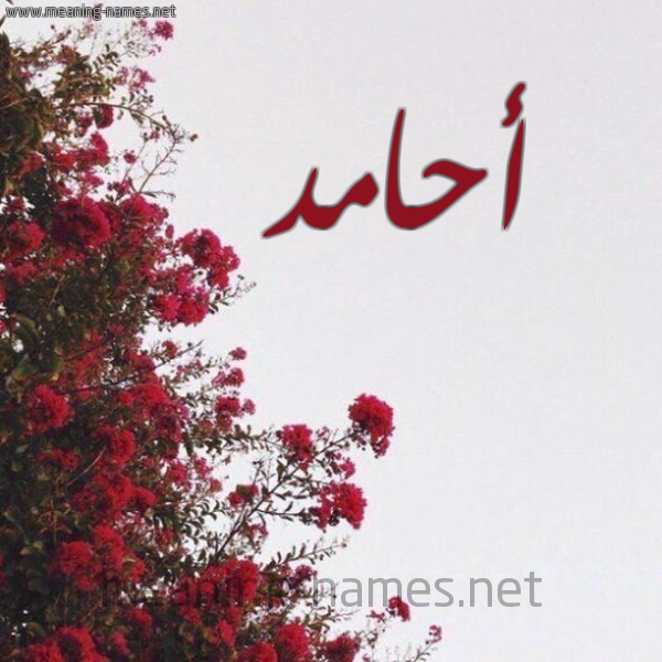 شكل 18 صوره الورد الأحمر للإسم بخط رقعة صورة اسم أحامد AHAMD