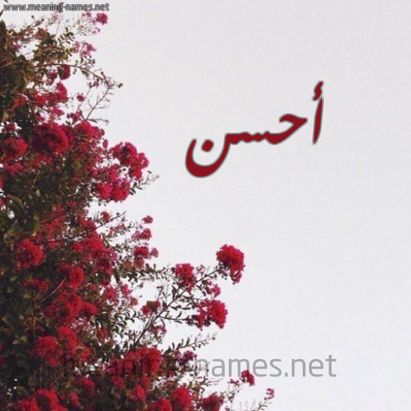 شكل 18 صوره الورد الأحمر للإسم بخط رقعة صورة اسم أحسن AHSN
