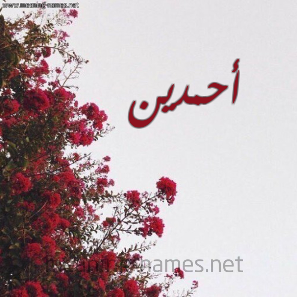 شكل 18 صوره الورد الأحمر للإسم بخط رقعة صورة اسم أحمدين AHMDIN