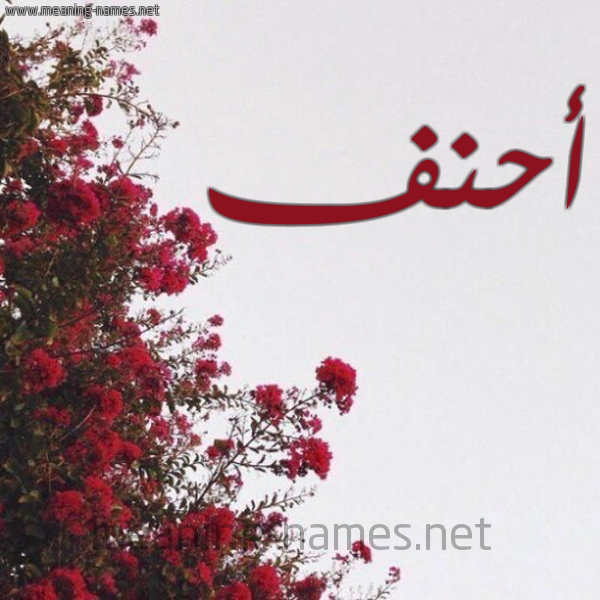 شكل 18 صوره الورد الأحمر للإسم بخط رقعة صورة اسم أحنف AHNF