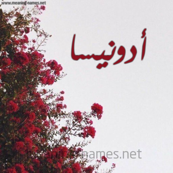 شكل 18 صوره الورد الأحمر للإسم بخط رقعة صورة اسم أدونيسا adonissa