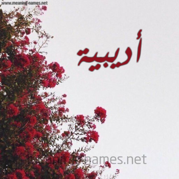 شكل 18 صوره الورد الأحمر للإسم بخط رقعة صورة اسم أديبية Adeeba