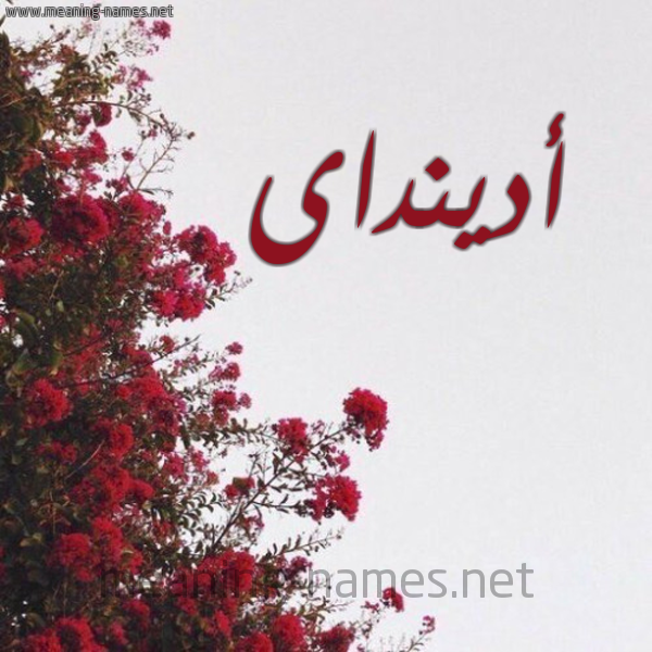 شكل 18 صوره الورد الأحمر للإسم بخط رقعة صورة اسم أدينداى adindai