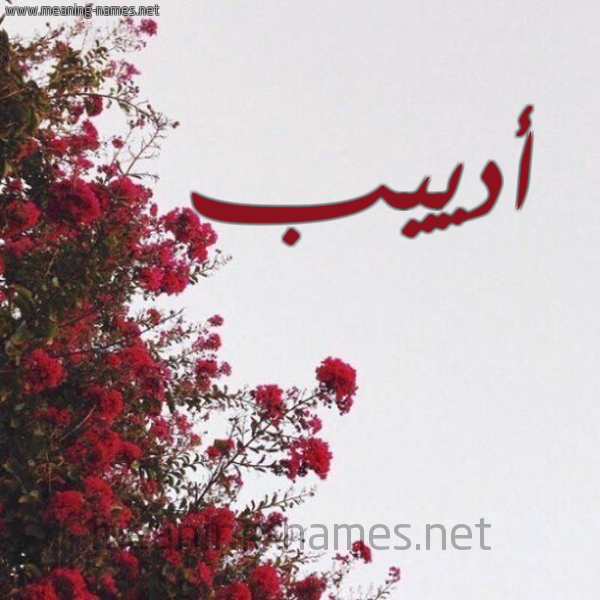 شكل 18 صوره الورد الأحمر للإسم بخط رقعة صورة اسم أدييب Adeeb