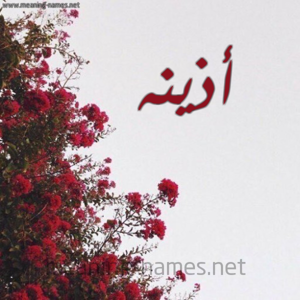 شكل 18 صوره الورد الأحمر للإسم بخط رقعة صورة اسم أذينه AZINH