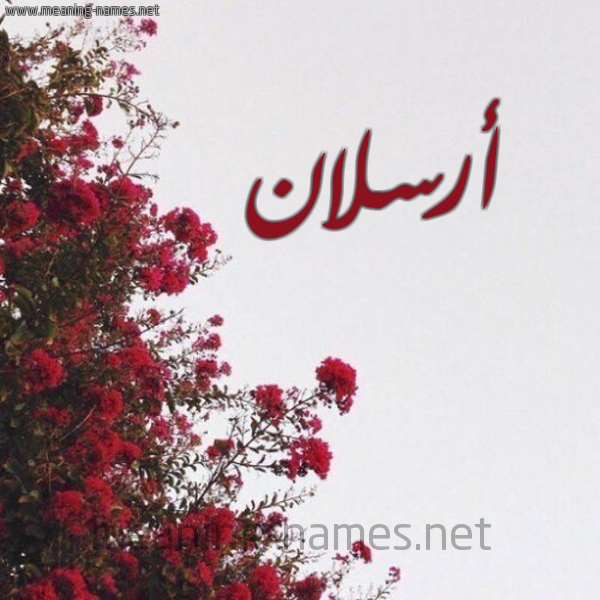 شكل 18 صوره الورد الأحمر للإسم بخط رقعة صورة اسم أرسلان Arslan