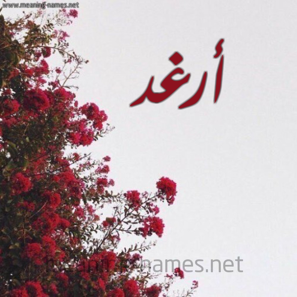 شكل 18 صوره الورد الأحمر للإسم بخط رقعة صورة اسم أرغد ARGHD