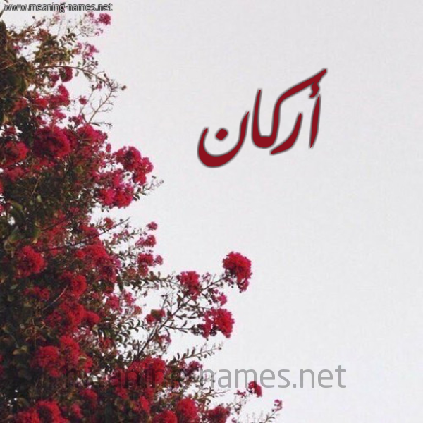 شكل 18 صوره الورد الأحمر للإسم بخط رقعة صورة اسم أركان ARKAN