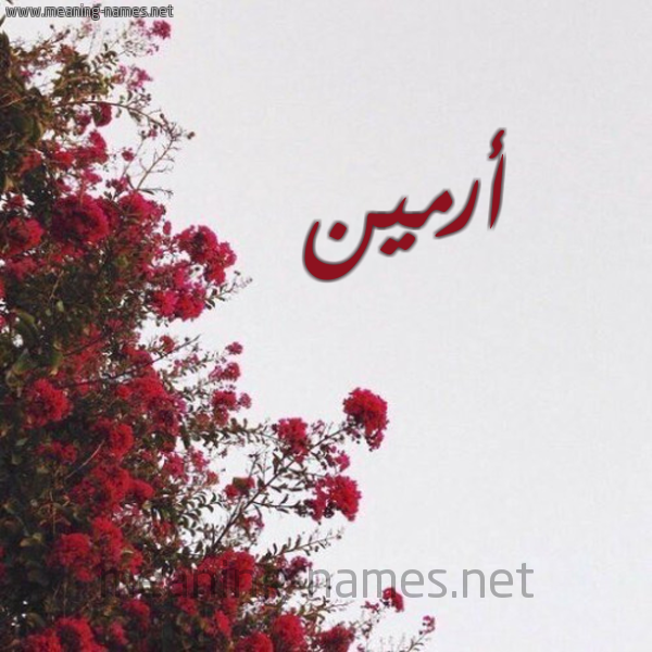 شكل 18 صوره الورد الأحمر للإسم بخط رقعة صورة اسم أرمين armeen