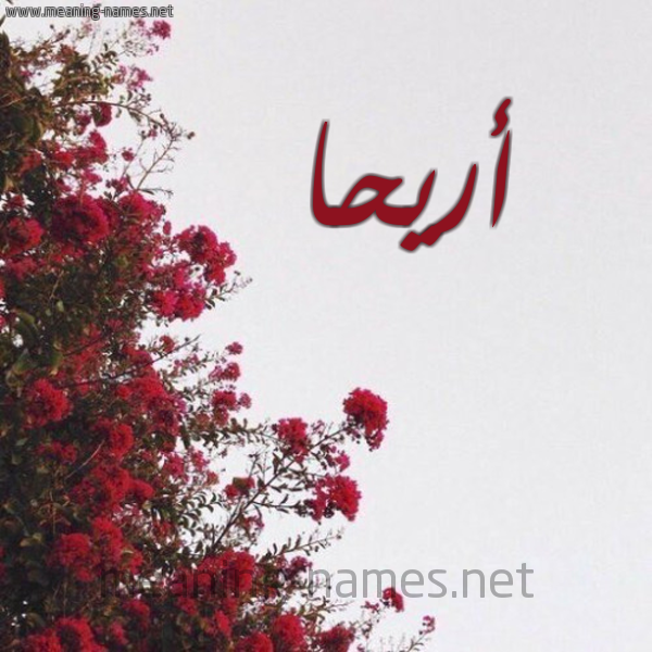 شكل 18 صوره الورد الأحمر للإسم بخط رقعة صورة اسم أريحا ARIHA