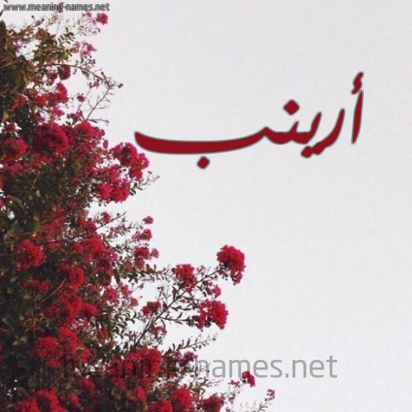 شكل 18 صوره الورد الأحمر للإسم بخط رقعة صورة اسم أرينب ARINB
