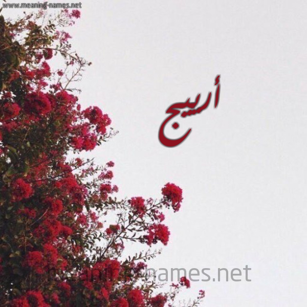 شكل 18 صوره الورد الأحمر للإسم بخط رقعة صورة اسم أرييج Areej