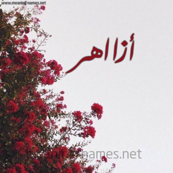 شكل 18 صوره الورد الأحمر للإسم بخط رقعة صورة اسم أزااهر Azaher