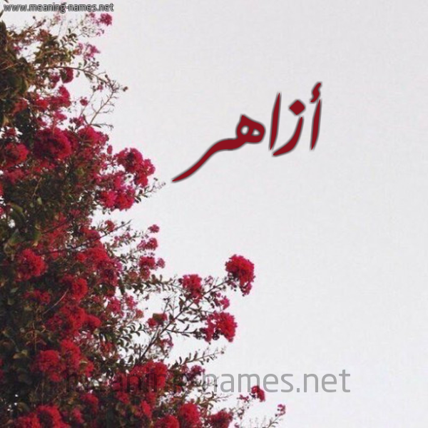 شكل 18 صوره الورد الأحمر للإسم بخط رقعة صورة اسم أزاهر Azazhr