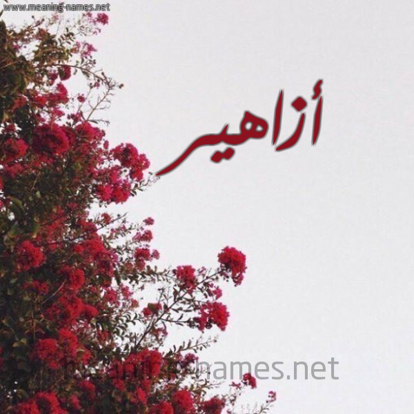 شكل 18 صوره الورد الأحمر للإسم بخط رقعة صورة اسم أزاهير AZAHIR