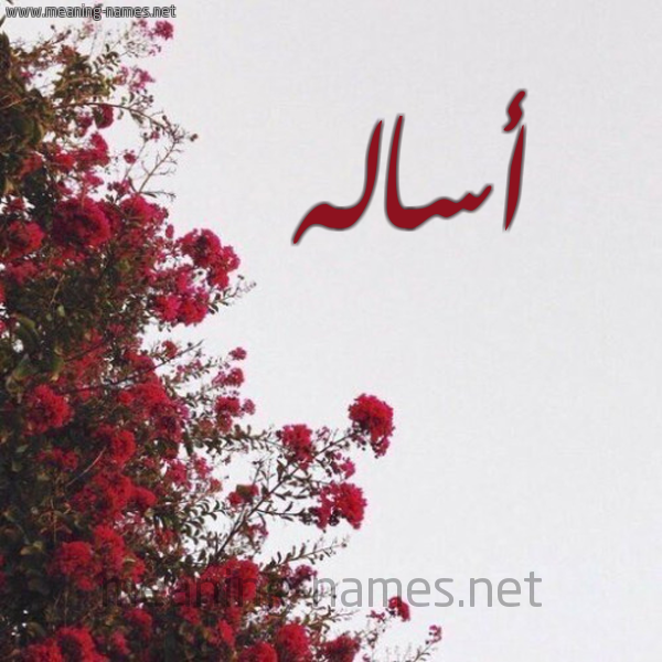 شكل 18 صوره الورد الأحمر للإسم بخط رقعة صورة اسم أساله ASALH