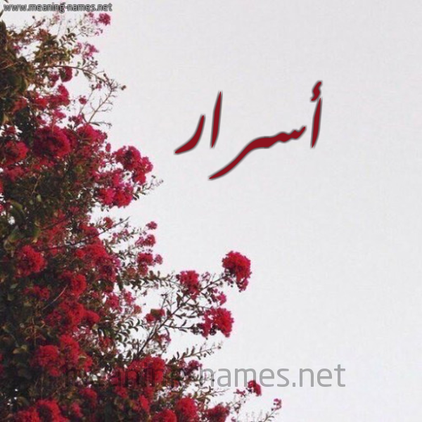 شكل 18 صوره الورد الأحمر للإسم بخط رقعة صورة اسم أسرار Asrar