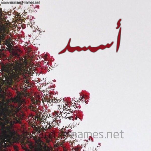 شكل 18 صوره الورد الأحمر للإسم بخط رقعة صورة اسم أسسد Asad