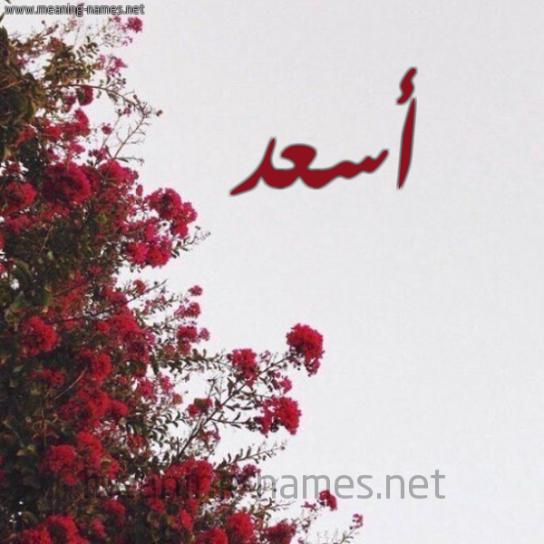 شكل 18 صوره الورد الأحمر للإسم بخط رقعة صورة اسم أسعد Asad