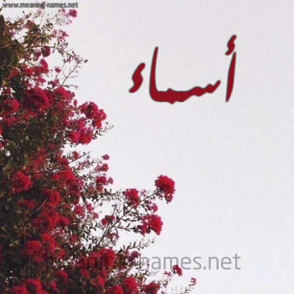 شكل 18 صوره الورد الأحمر للإسم بخط رقعة صورة اسم أسماء Asmaa