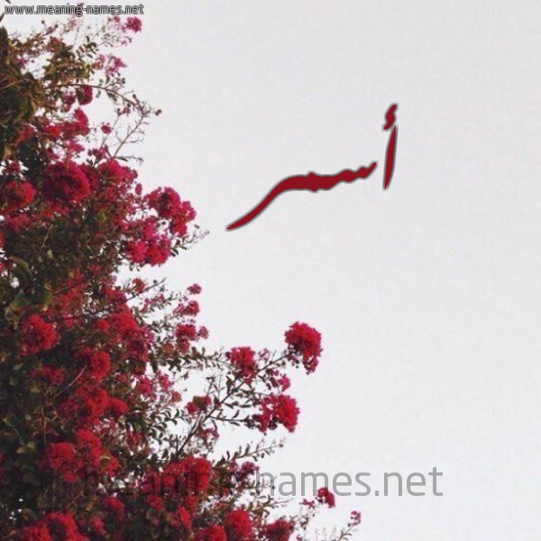 شكل 18 صوره الورد الأحمر للإسم بخط رقعة صورة اسم أسمر ASMR