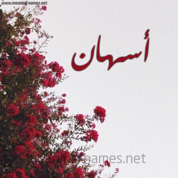شكل 18 صوره الورد الأحمر للإسم بخط رقعة صورة اسم أسهان ASHAN