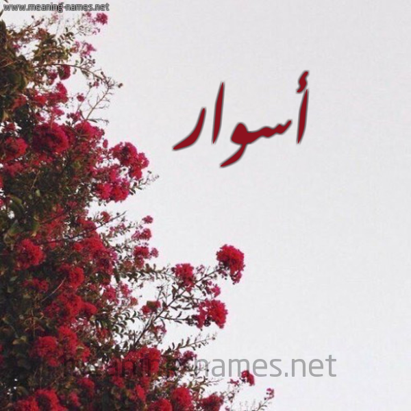 شكل 18 صوره الورد الأحمر للإسم بخط رقعة صورة اسم أسوار Aswar