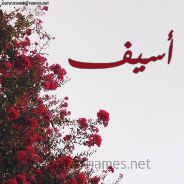 شكل 18 صوره الورد الأحمر للإسم بخط رقعة صورة اسم أسيف Assif