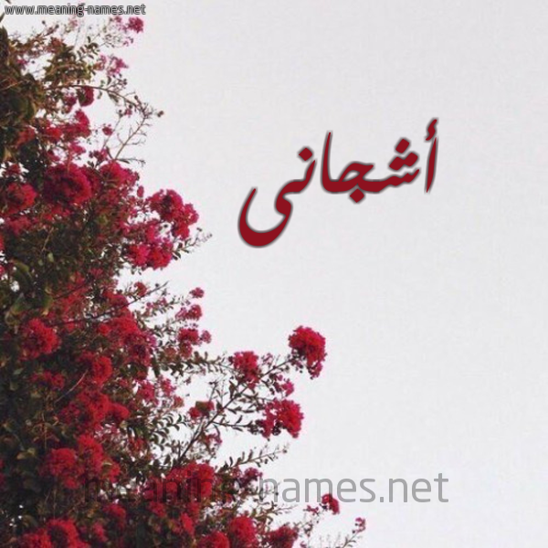 شكل 18 صوره الورد الأحمر للإسم بخط رقعة صورة اسم أشجانى Ashjan
