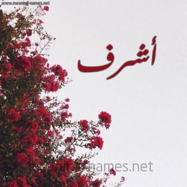 شكل 18 صوره الورد الأحمر للإسم بخط رقعة صورة اسم أشرف Ashrf