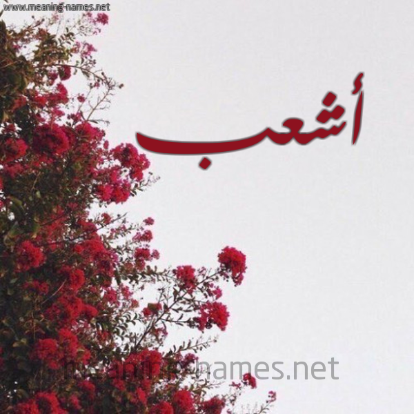 شكل 18 صوره الورد الأحمر للإسم بخط رقعة صورة اسم أشعب ASHAB